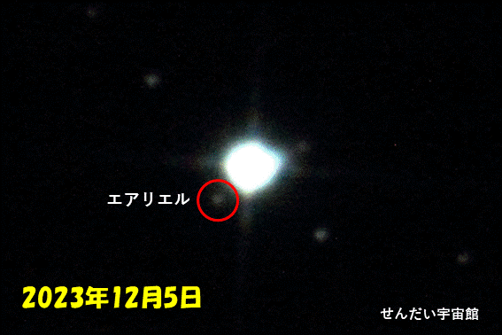 wV̉q(GAG)̓̐x(2023N125`9)