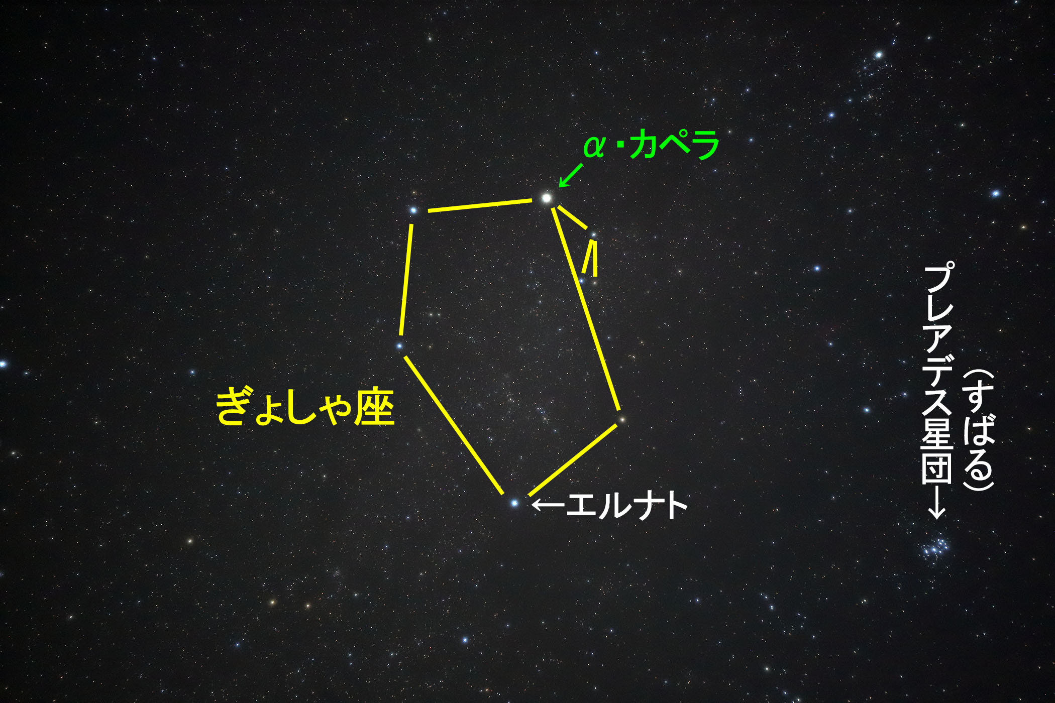 w債x̐