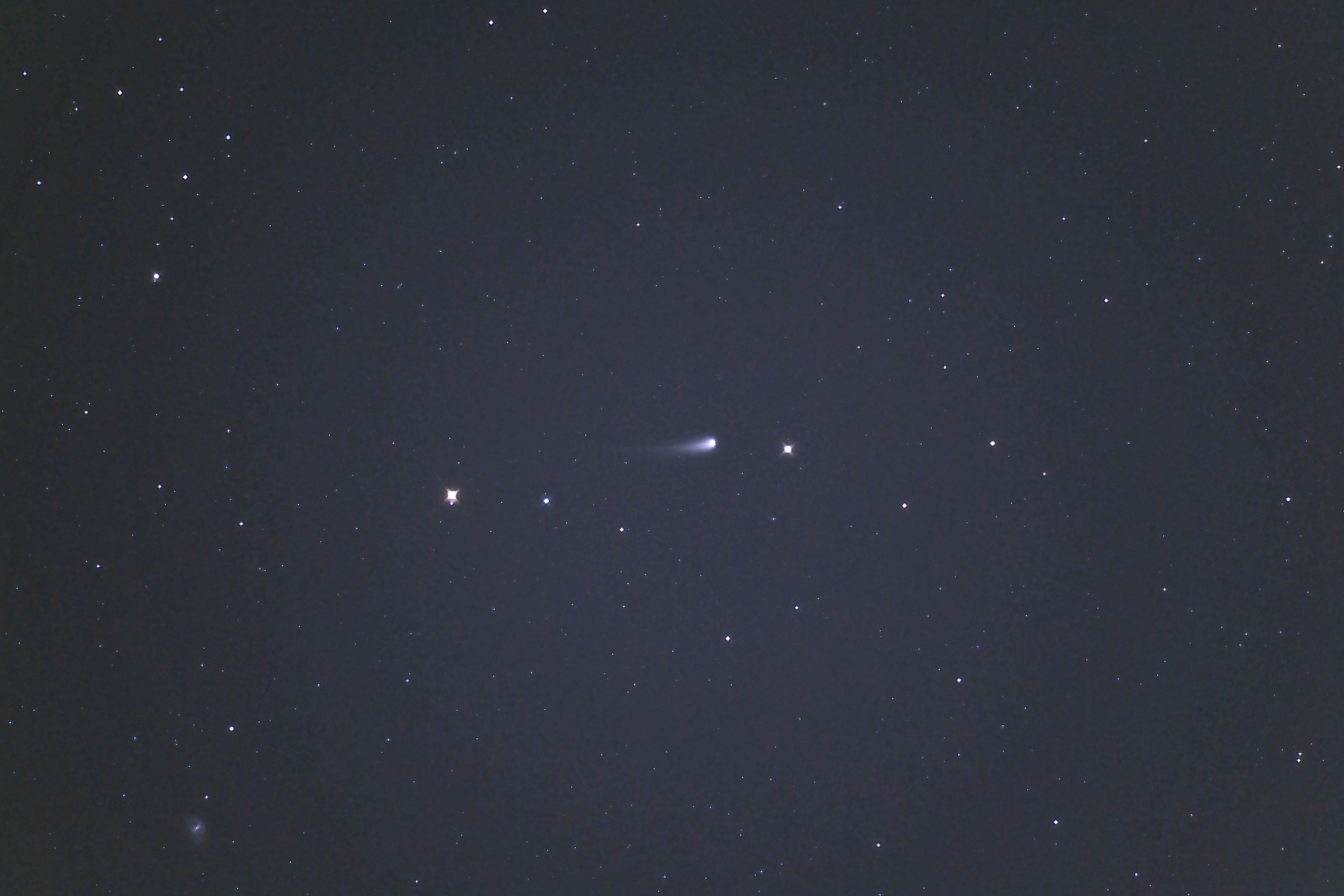 wC/2023 A3 REAgXax(2024N59)