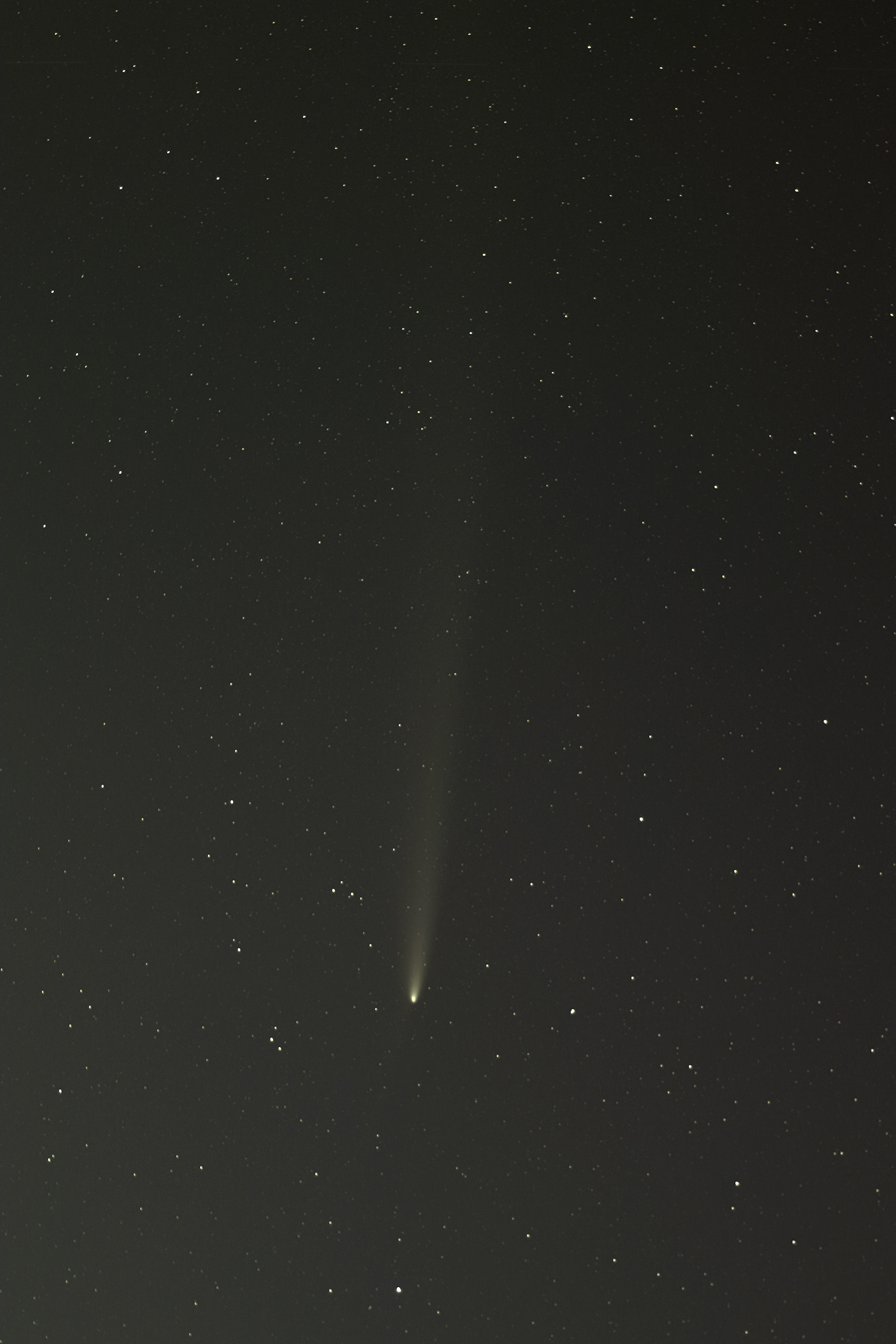 wC/2023 A3 REAgXax(2024N1021)