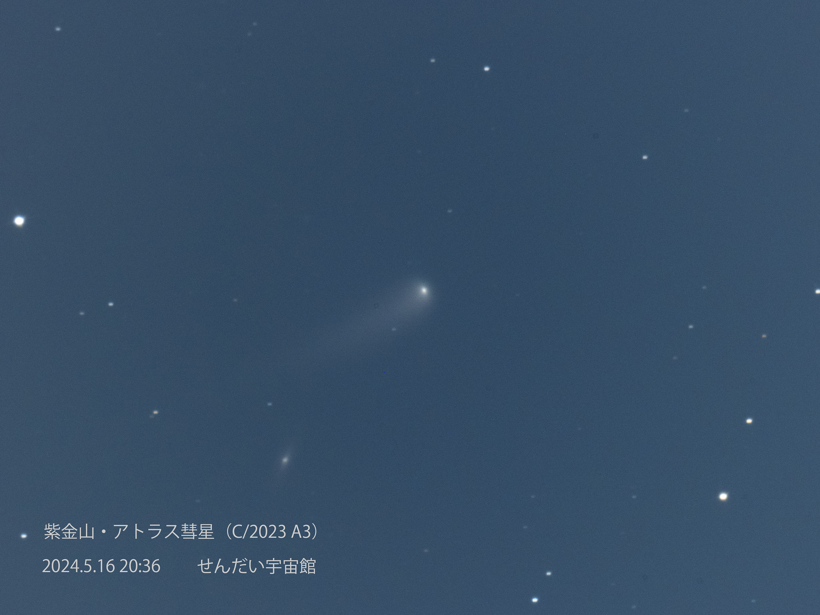 wC/2023 A3 REAgXax(2024N516)