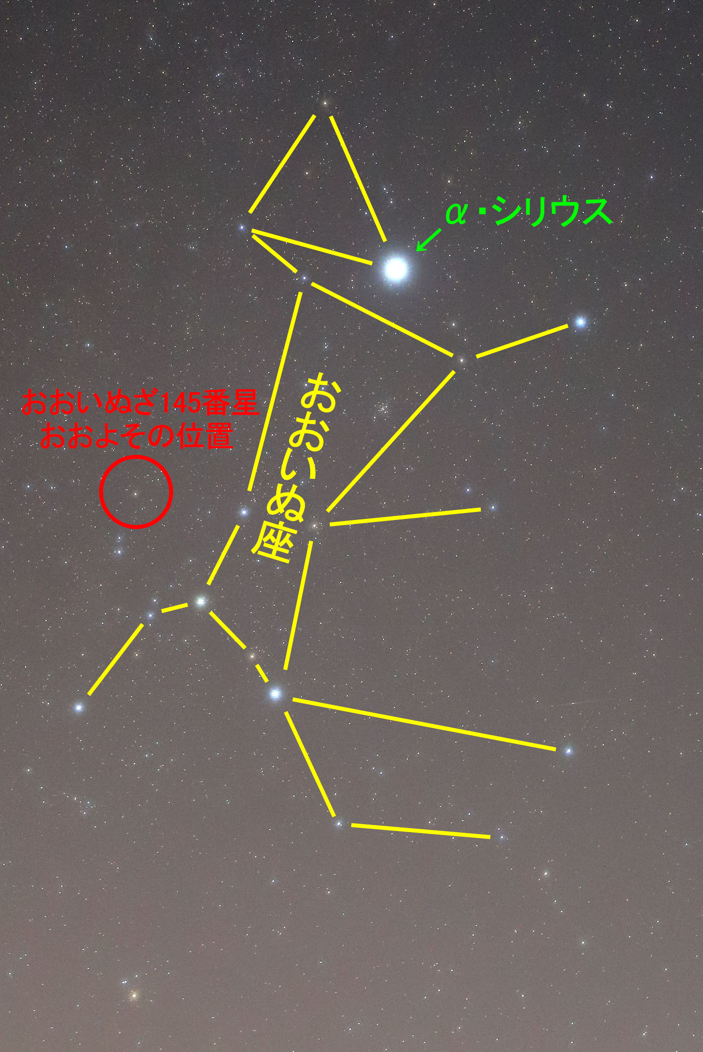 wʍ145Ԑx̂悻̈ʒu