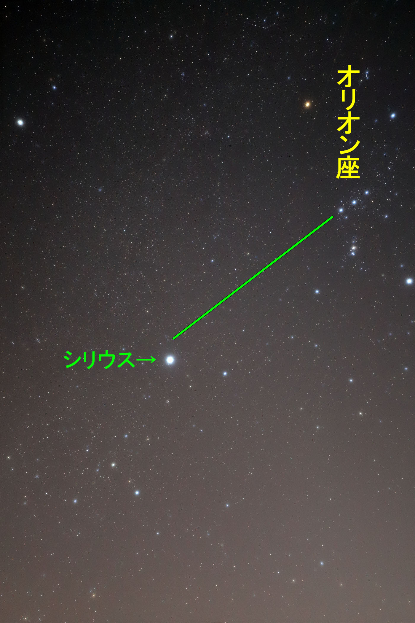 wVEXx̒T