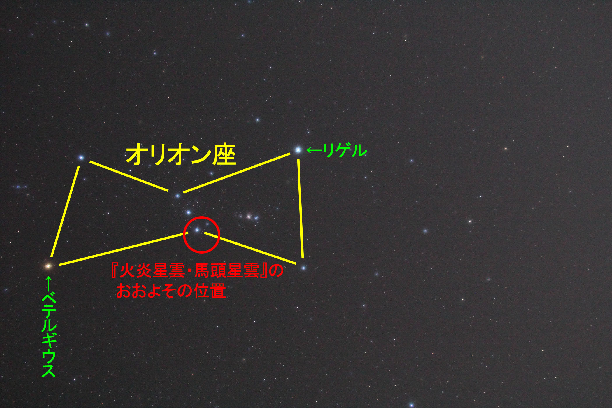 wΉ_En_x̂悻̈ʒu