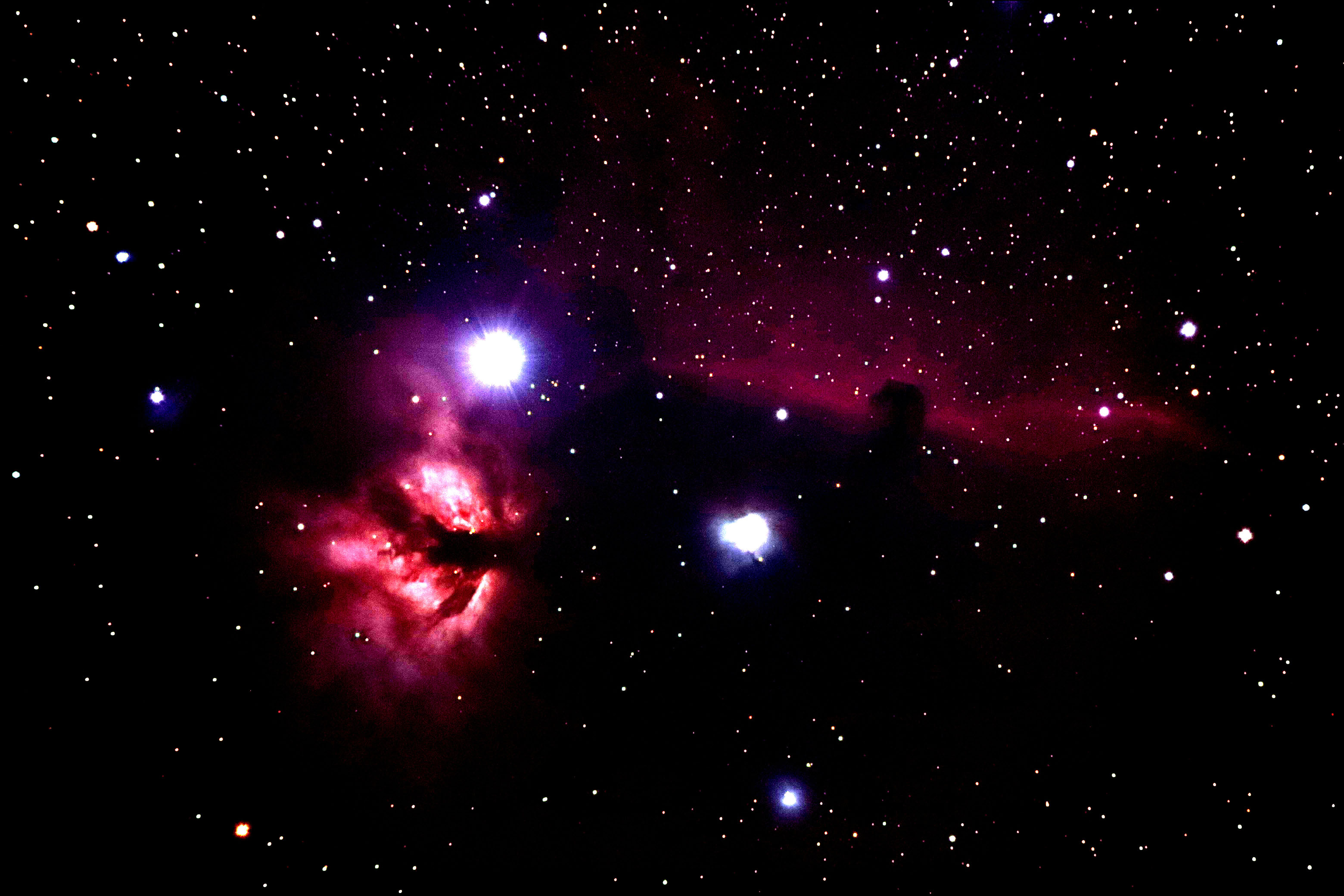 wΉ_En_x(2024N113)