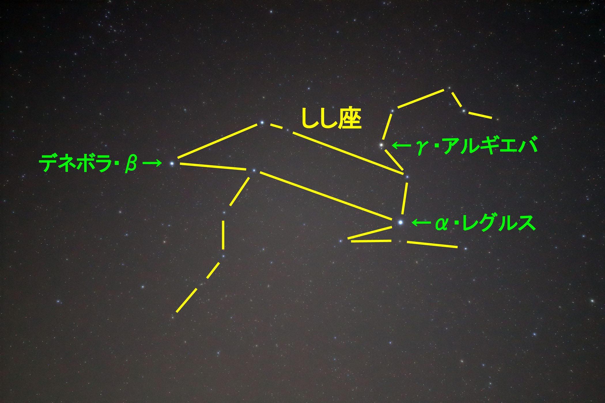 wx̐
