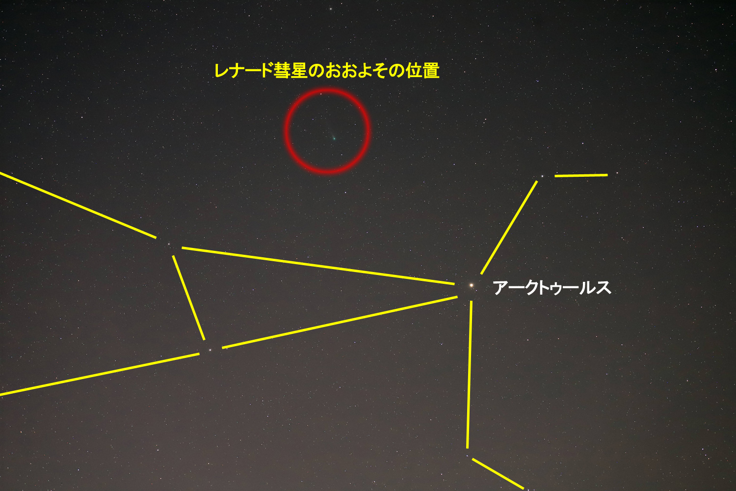 wC/2021 A1 i[hax̂悻̈ʒu(2021N125)