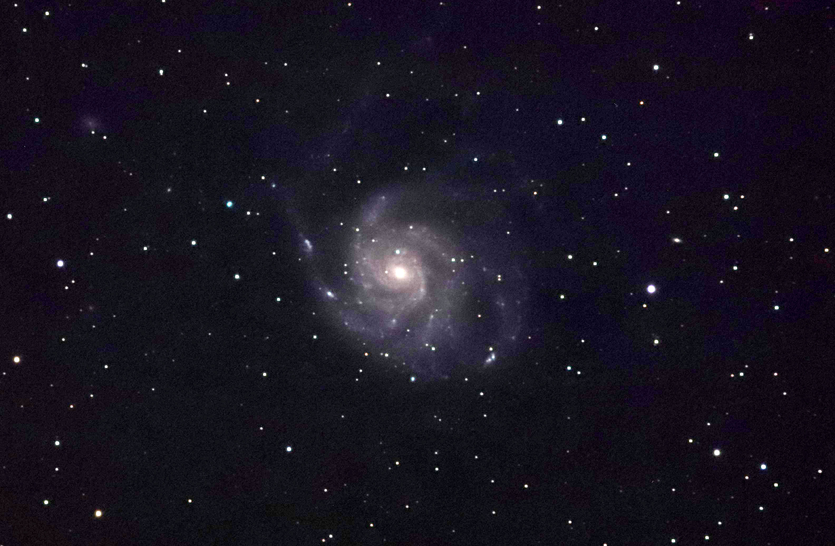 wM101(]ԉ΋)x(2022N44)