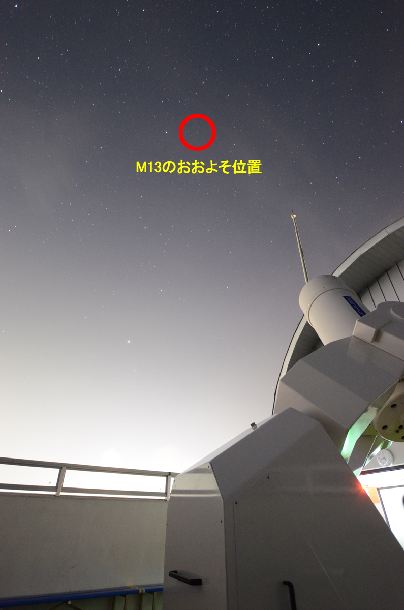 wM13̂悻̈ʒux