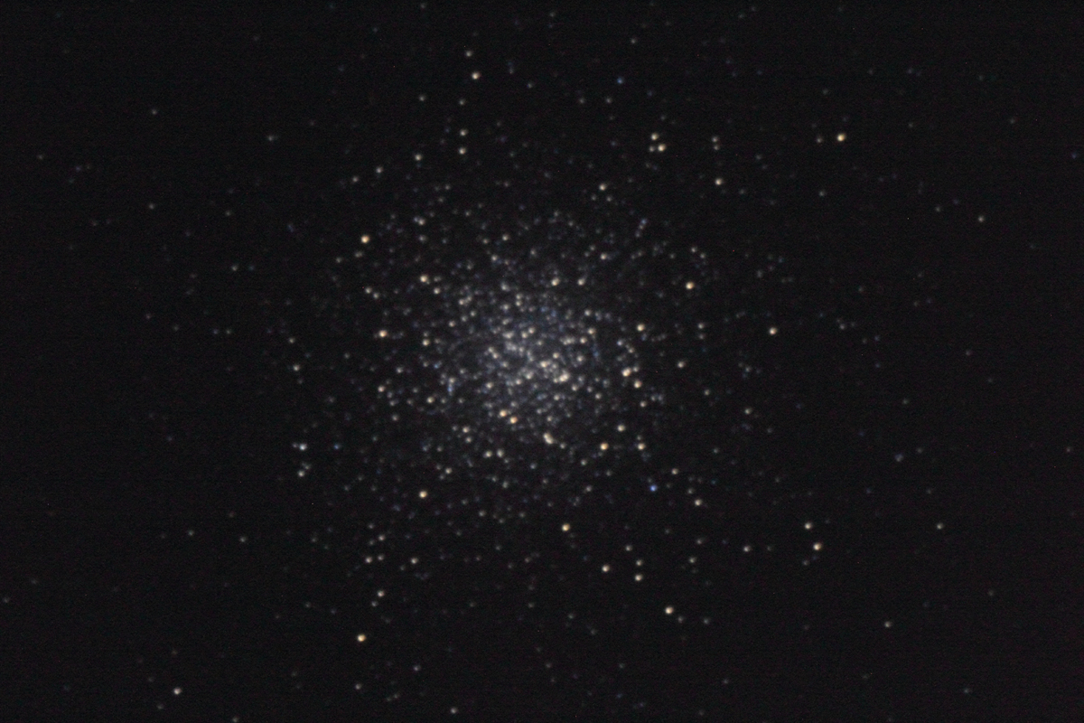 wM13x