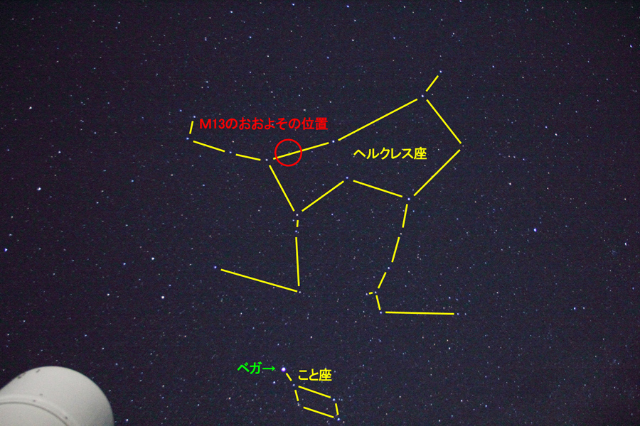 wM13̂悻̈ʒux(2022N629)