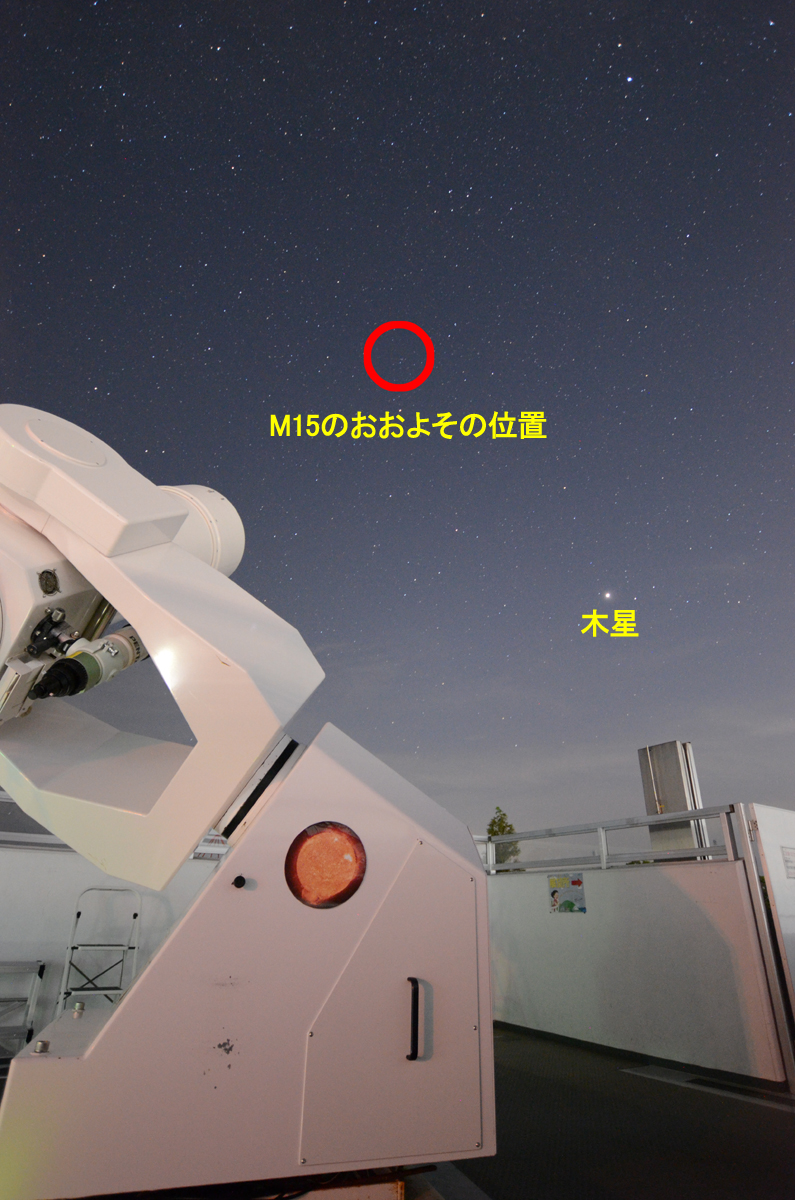 wM15̂悻̈ʒux