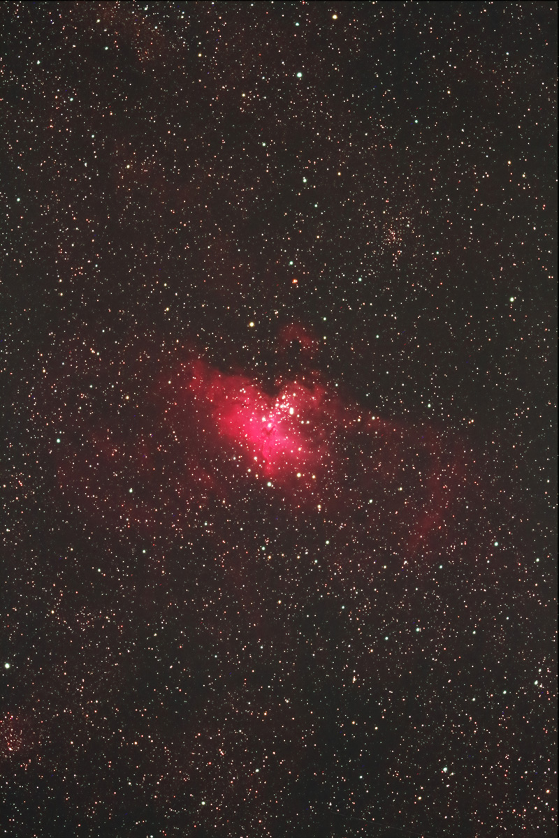 w킵_(M16)x