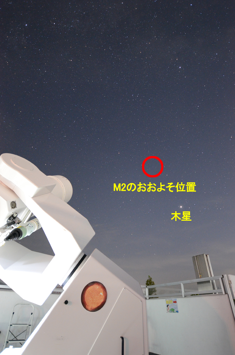 wM2̂悻̈ʒux
