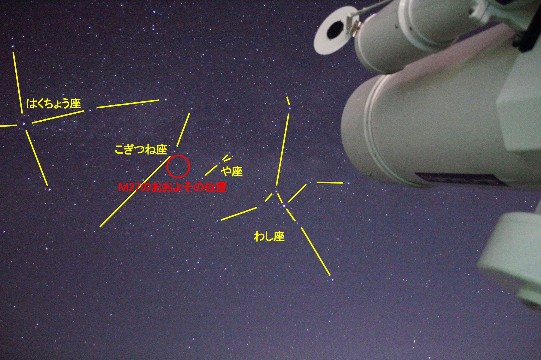 wM27̂悻̈ʒux(2022N629)