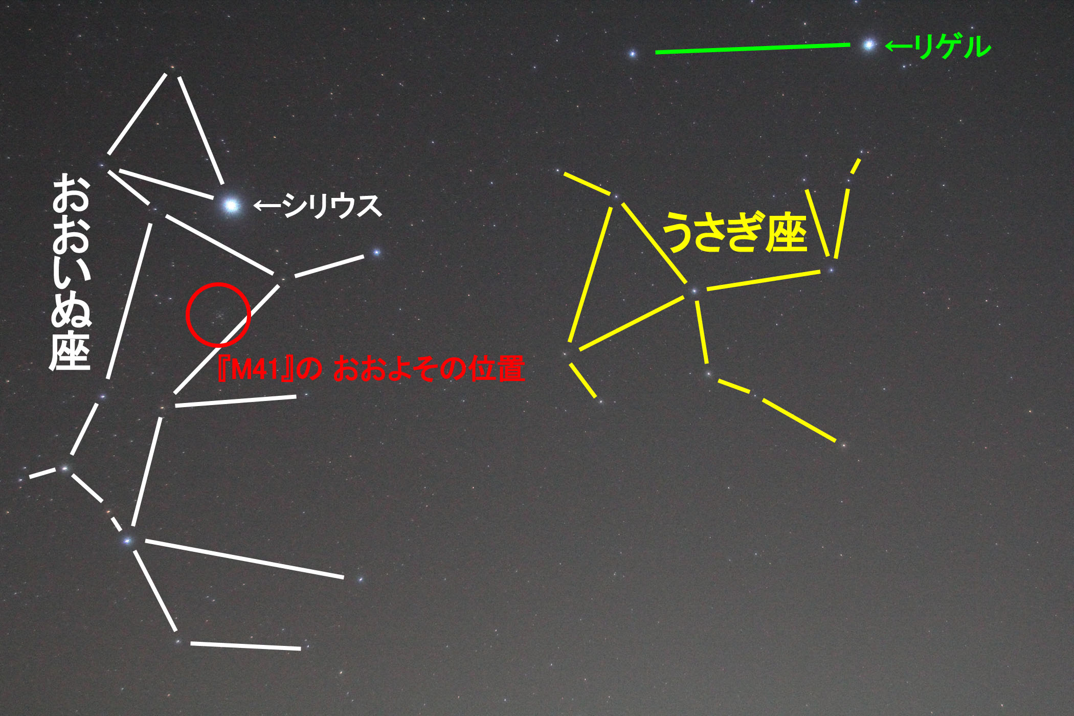 wM41x̂悻̈ʒu