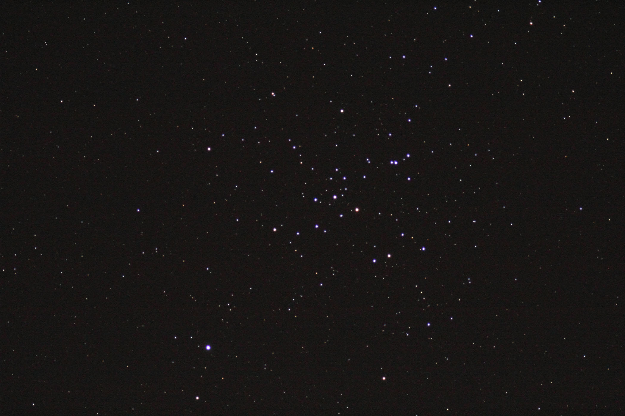 wM41x(2023N220)