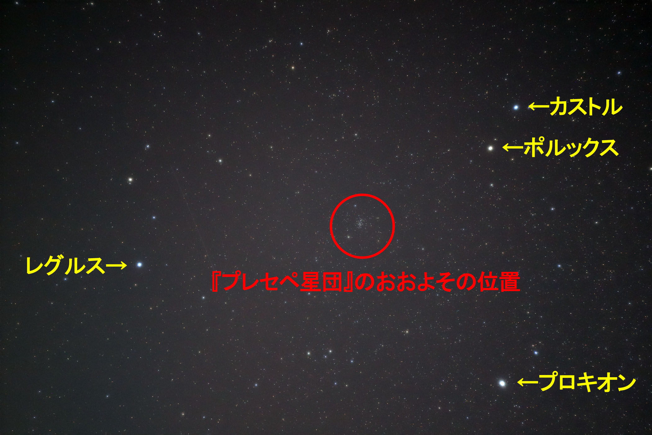 wvZyc(M44)x̂悻̈ʒu