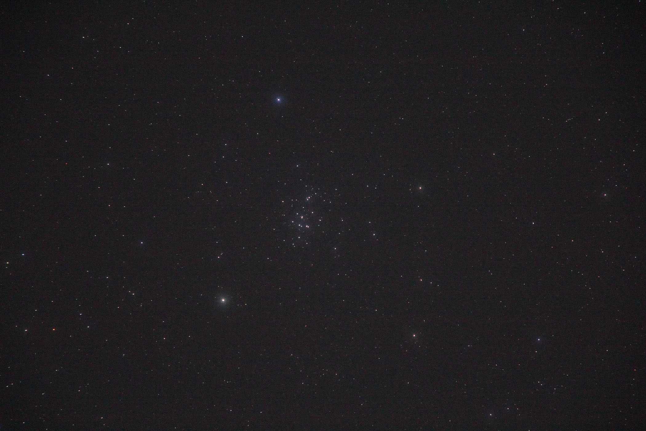 wvZyc(M44)x(2023N314)