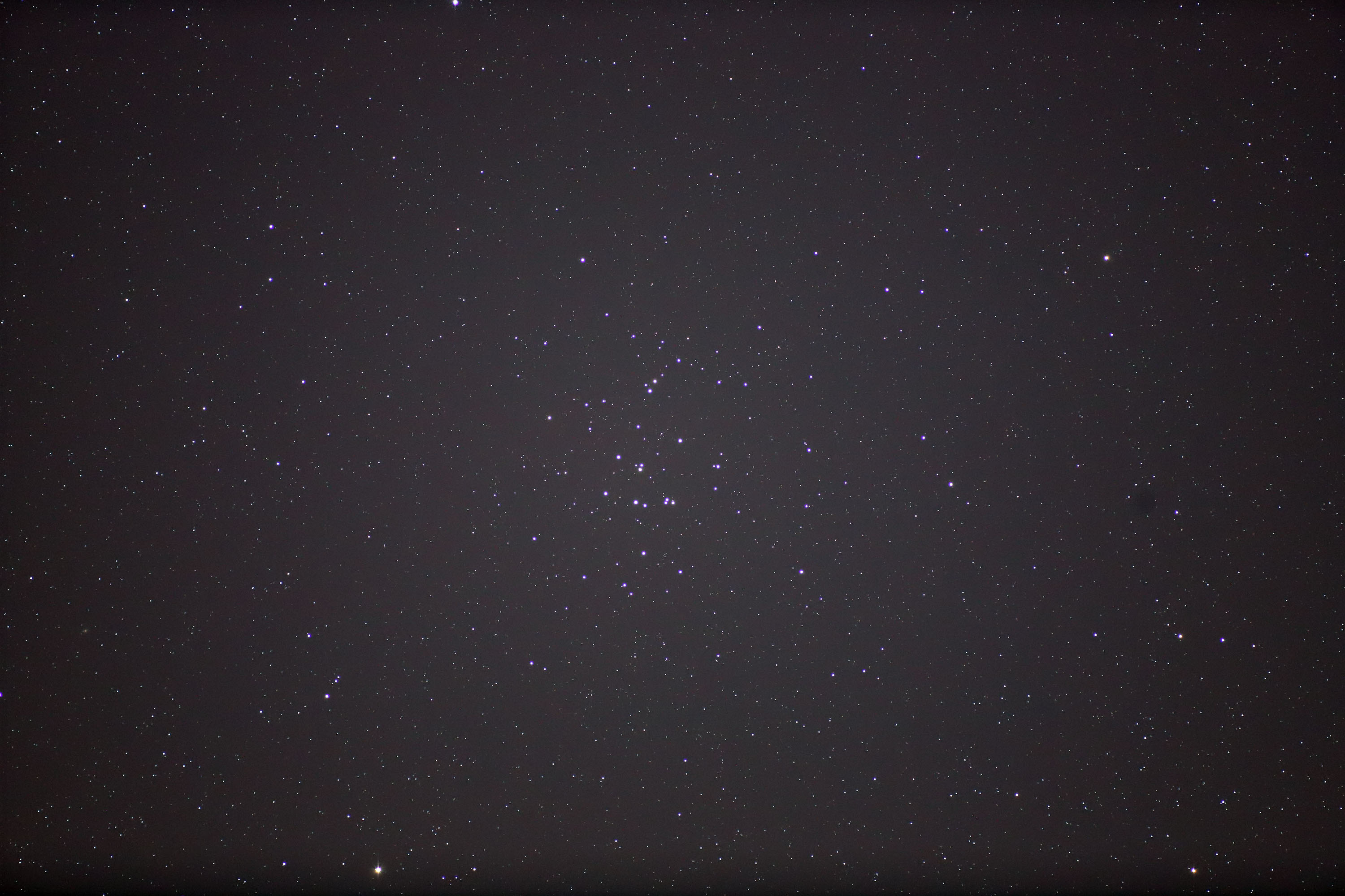 wvZyc(M44)x(2023N319)