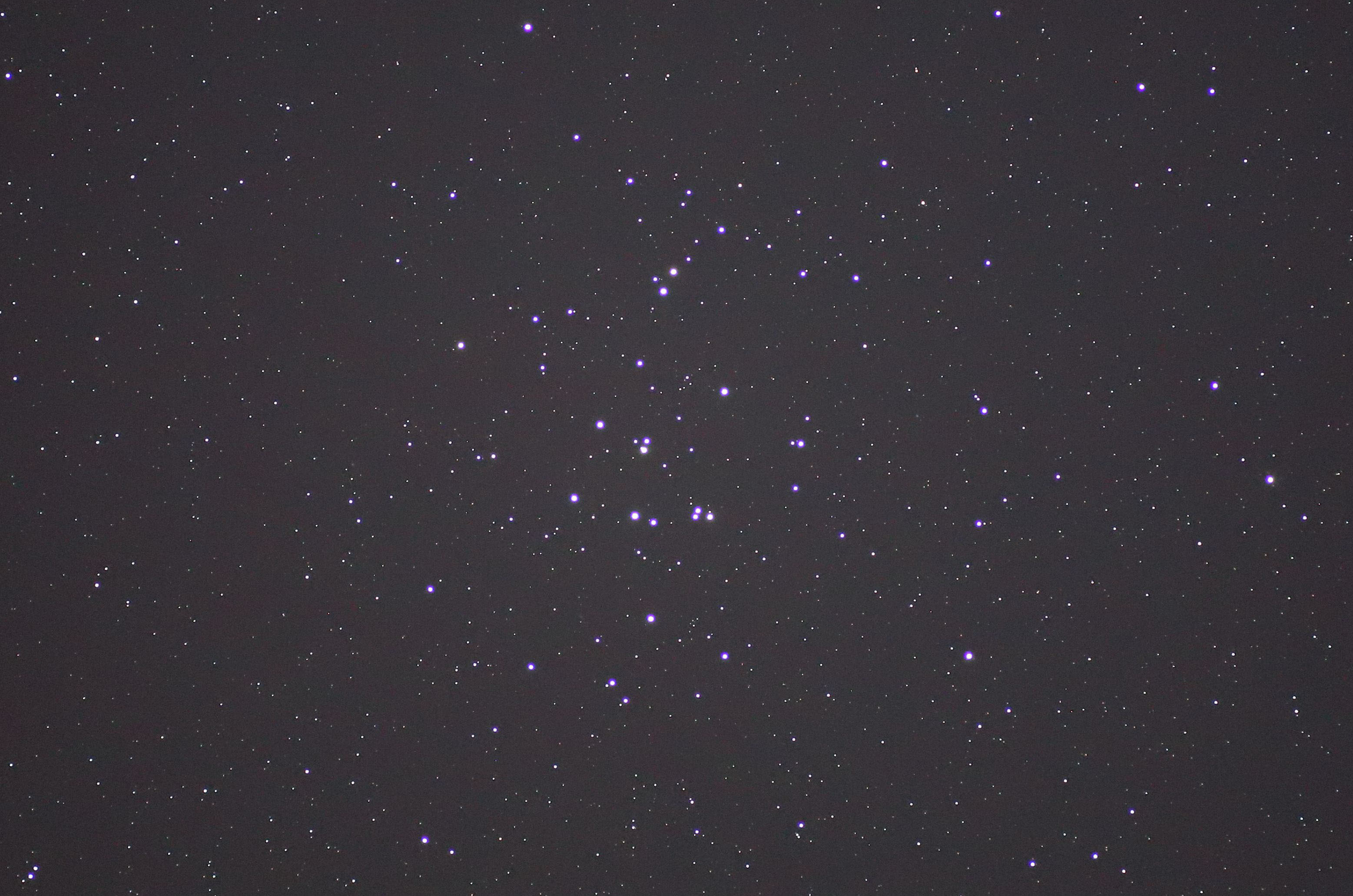 wvZyc(M44)x(2023N319)