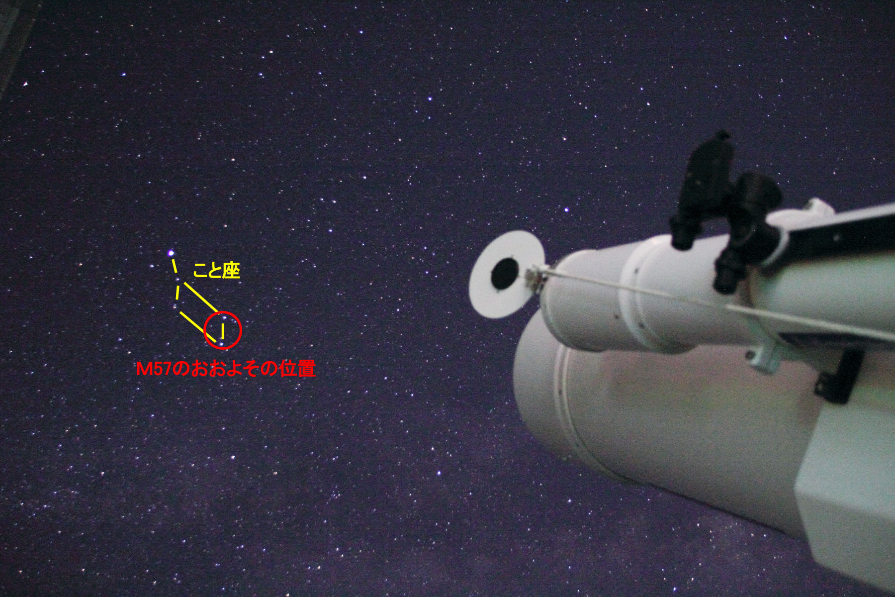 wM57̂悻̈ʒux(2022N629)