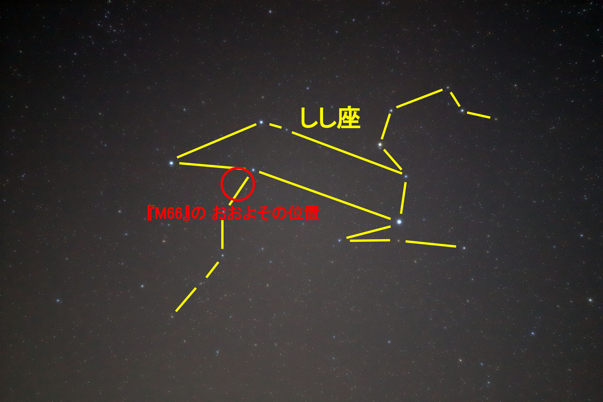 wM66x̂悻̈ʒu