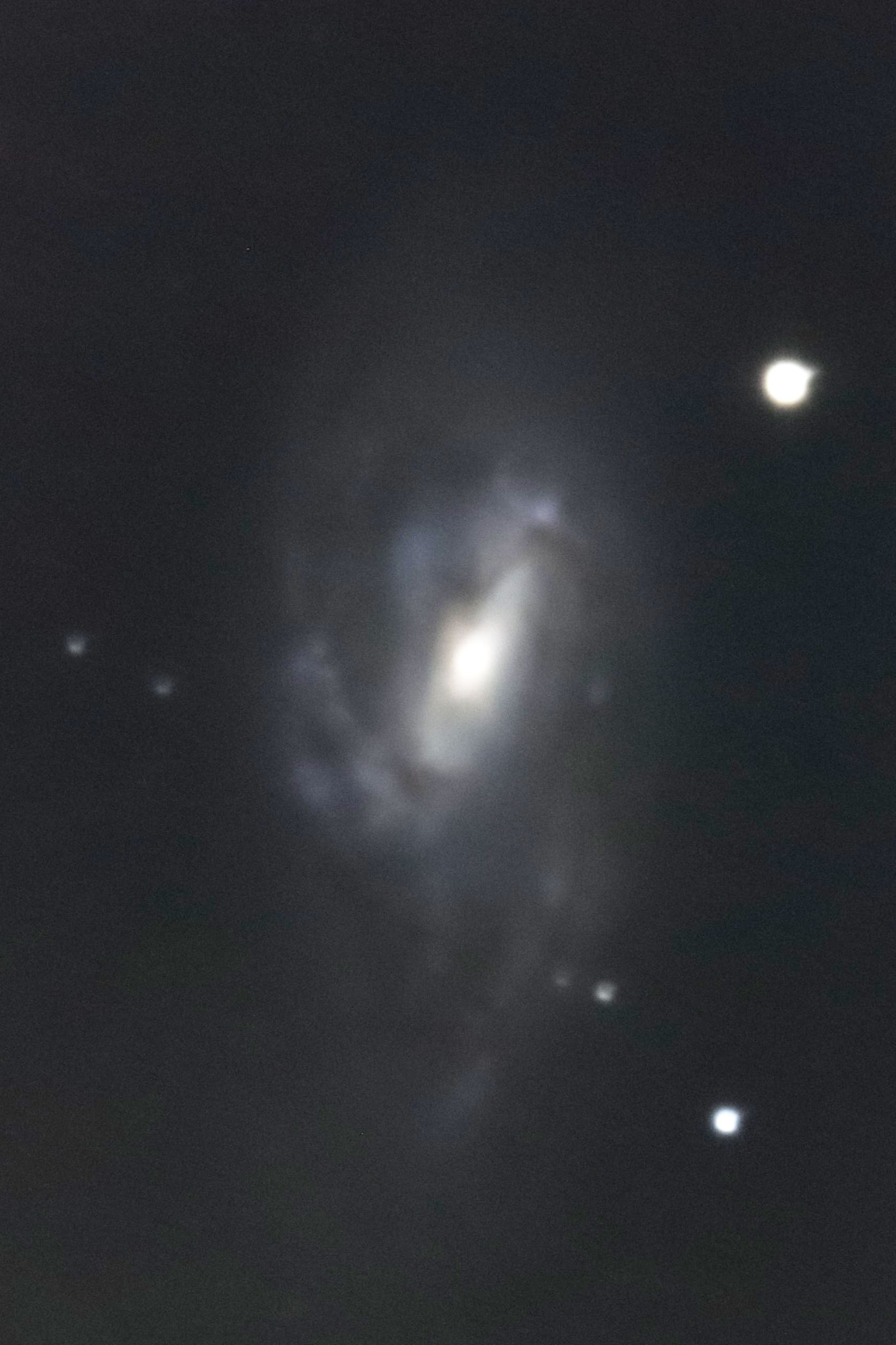 wM66x(2023N417)