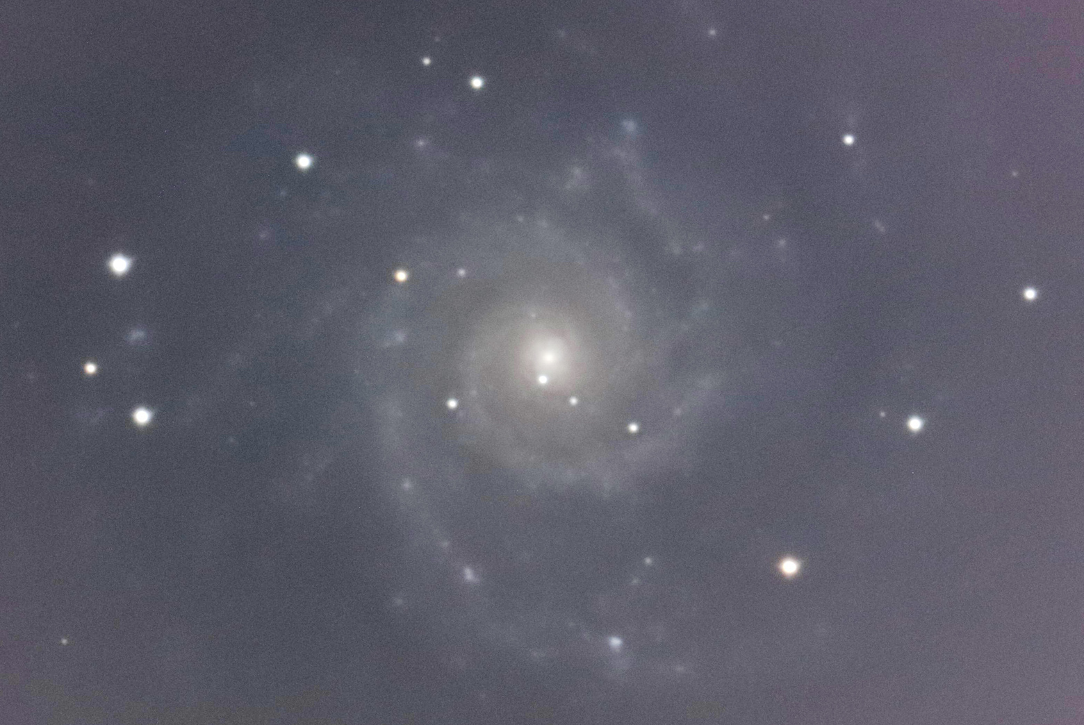wM74x(2021N114)