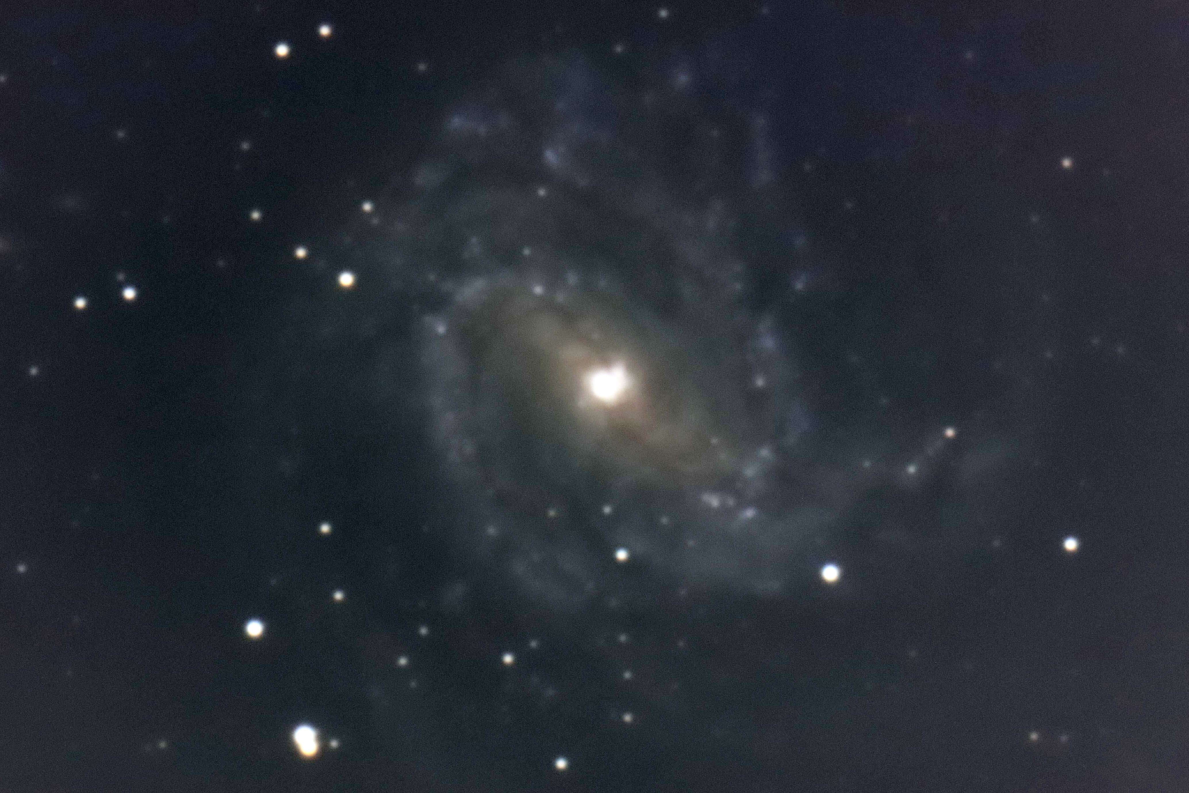 wM83(̉]ԉ΋)x(2023N523)