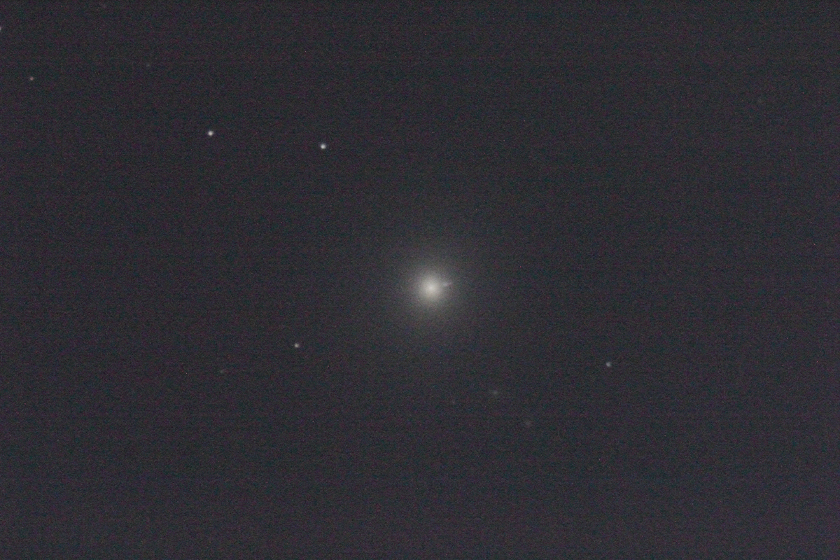 wM87x(2022N521)