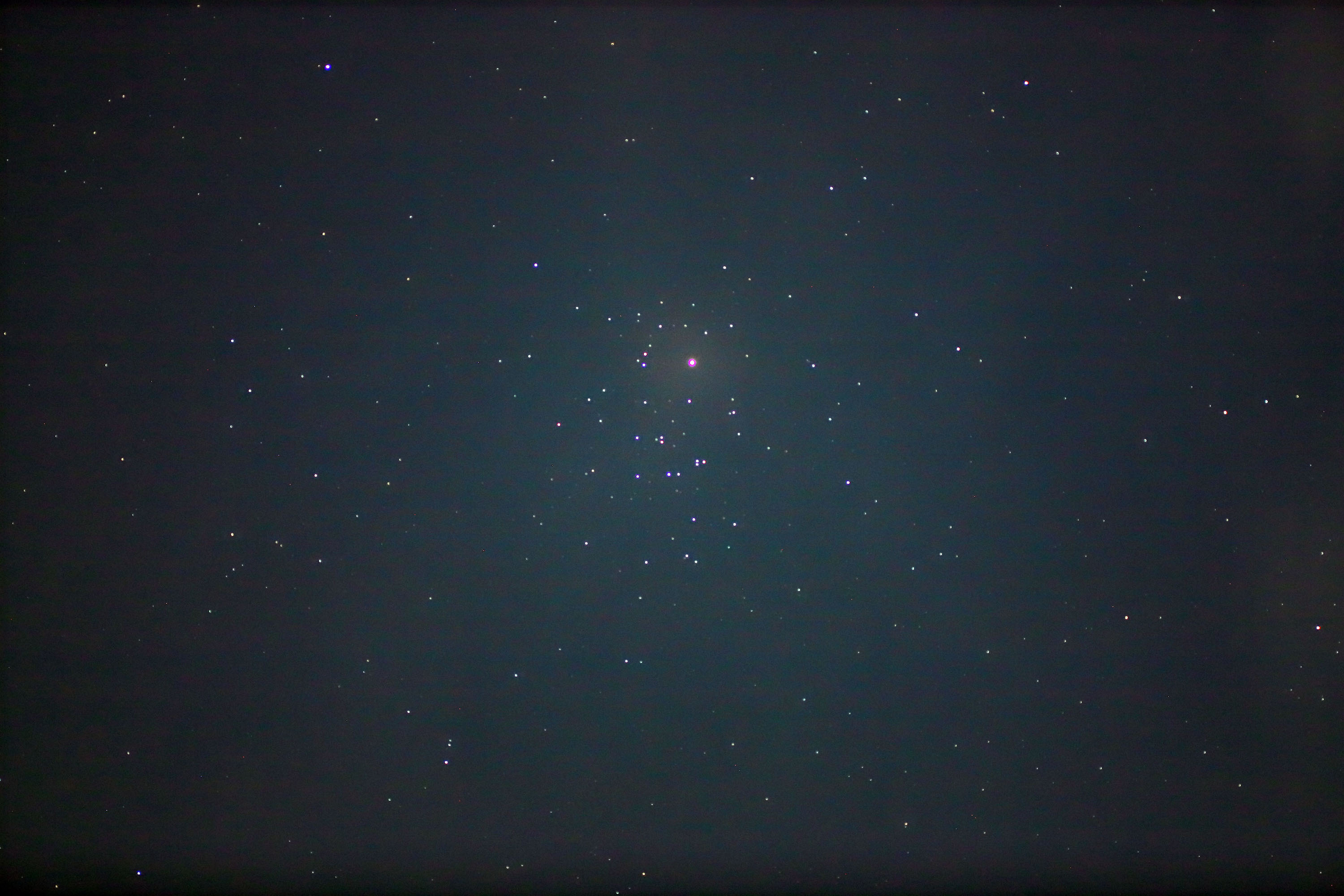 wΐƃvZyc(M44)x(2023N62)