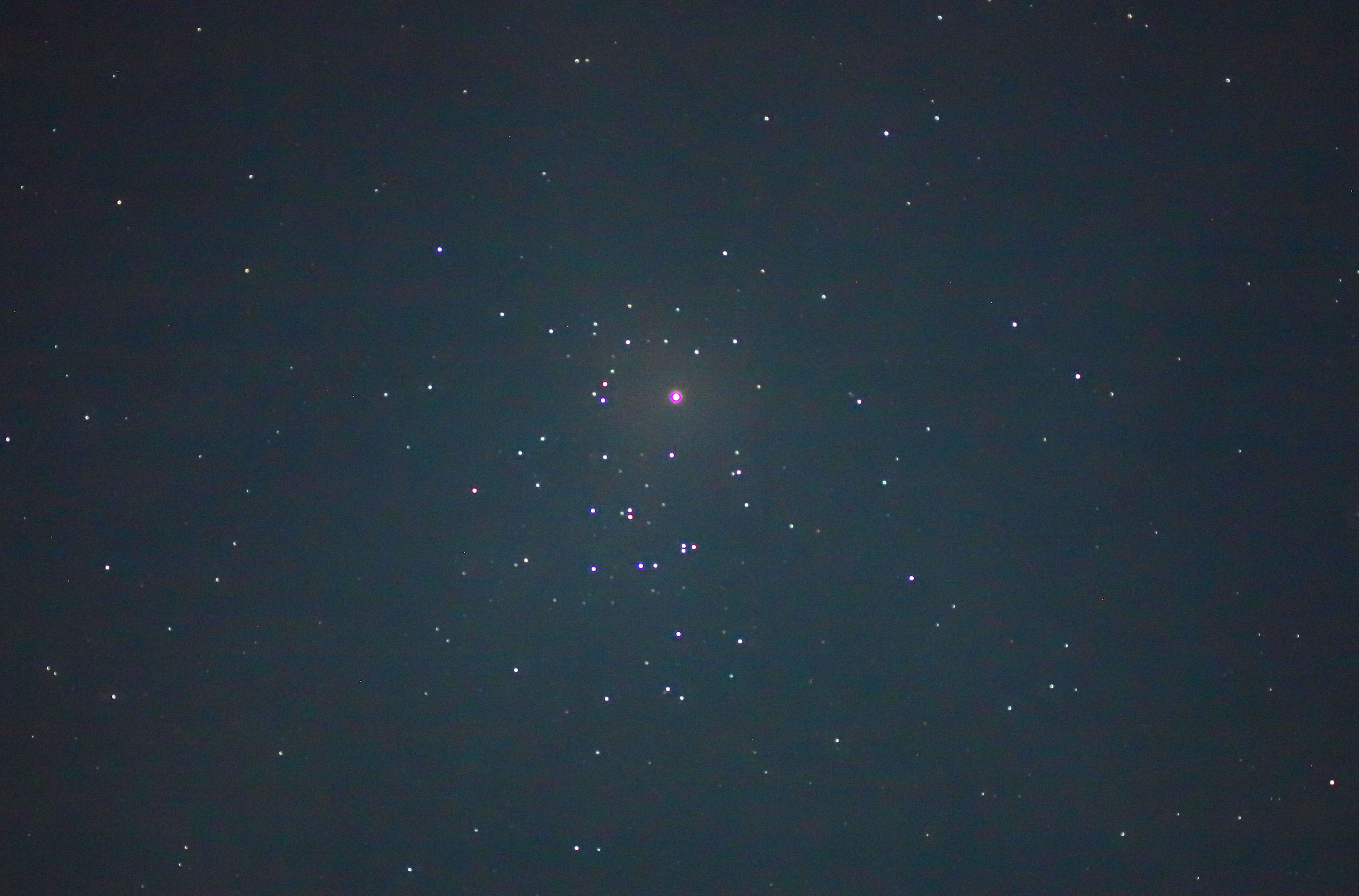 wΐƃvZyc(M44)x(2023N62)