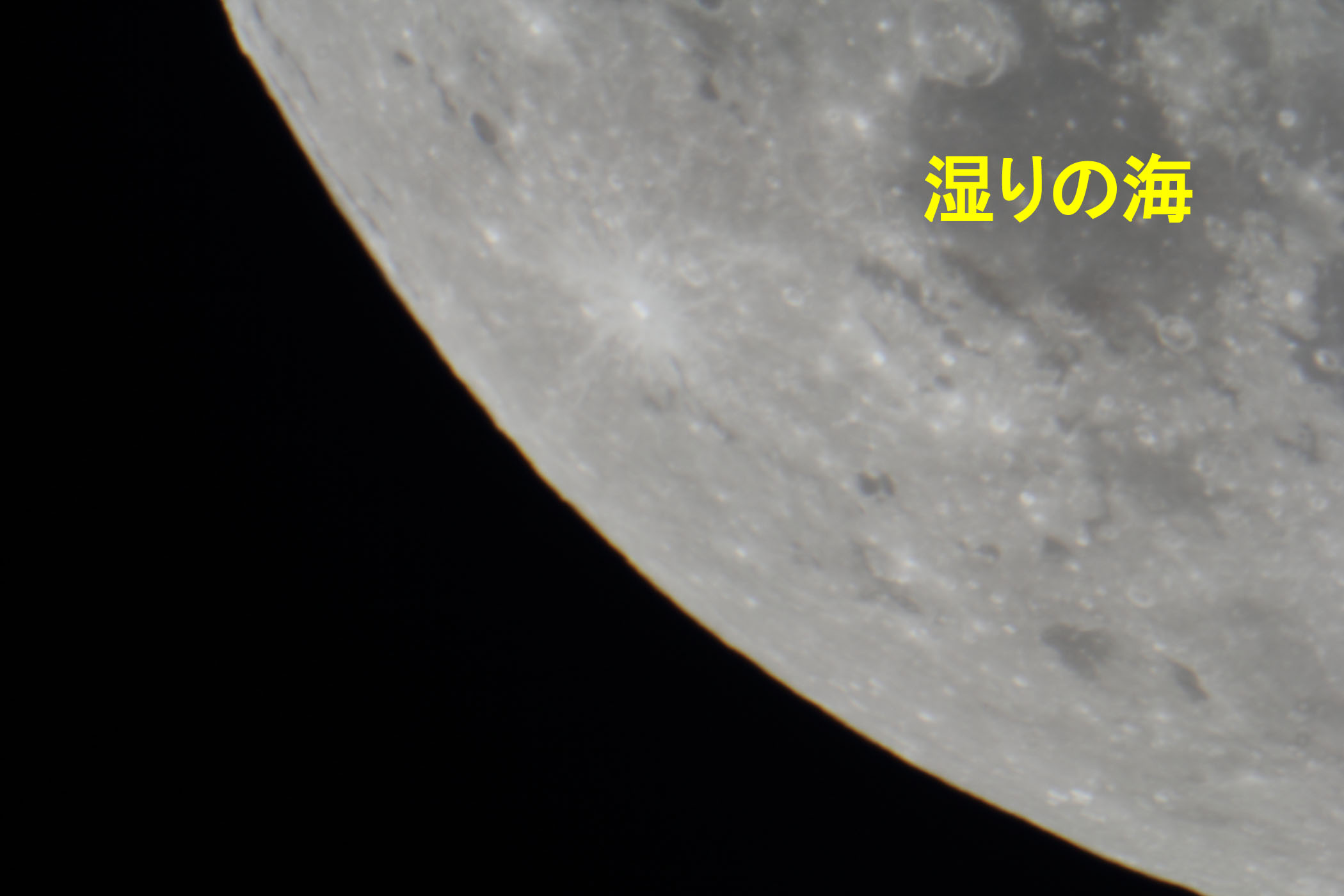 wi16.4j̊Ct߁x(2023N47)