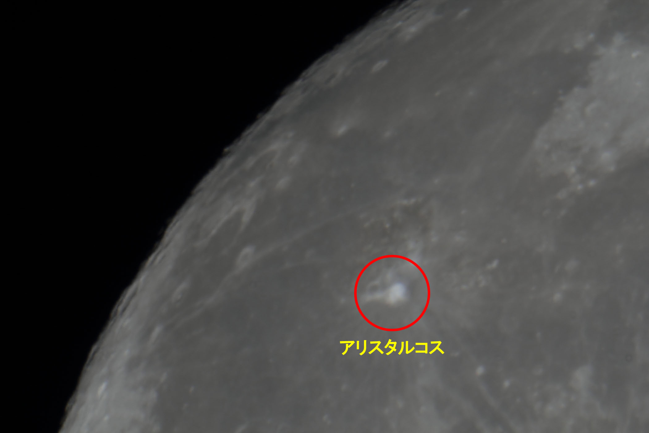 wi14.7jAX^RXt߁x(2023N81)