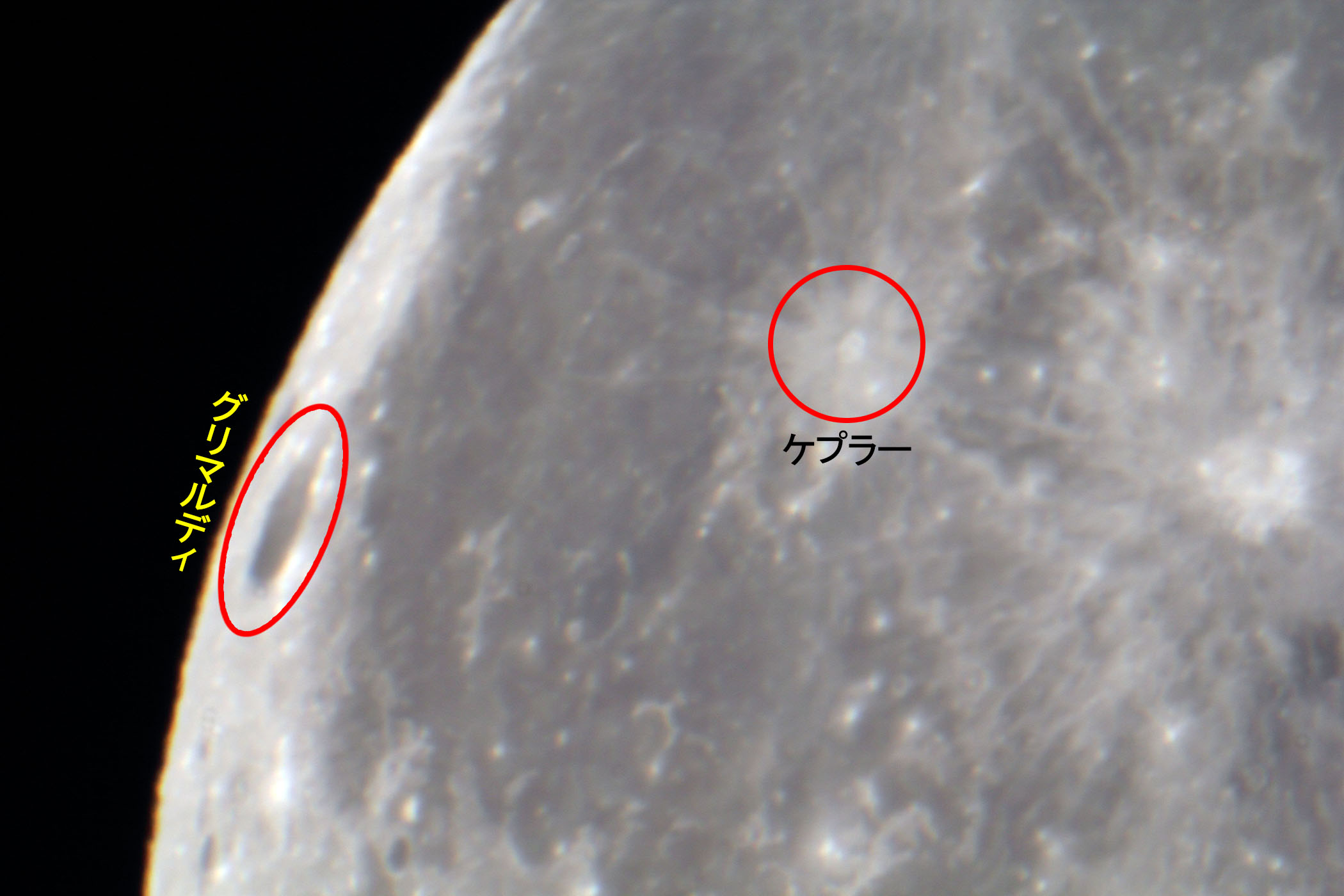 wi18.1jO}fBEPv[t߁x(2023N93)