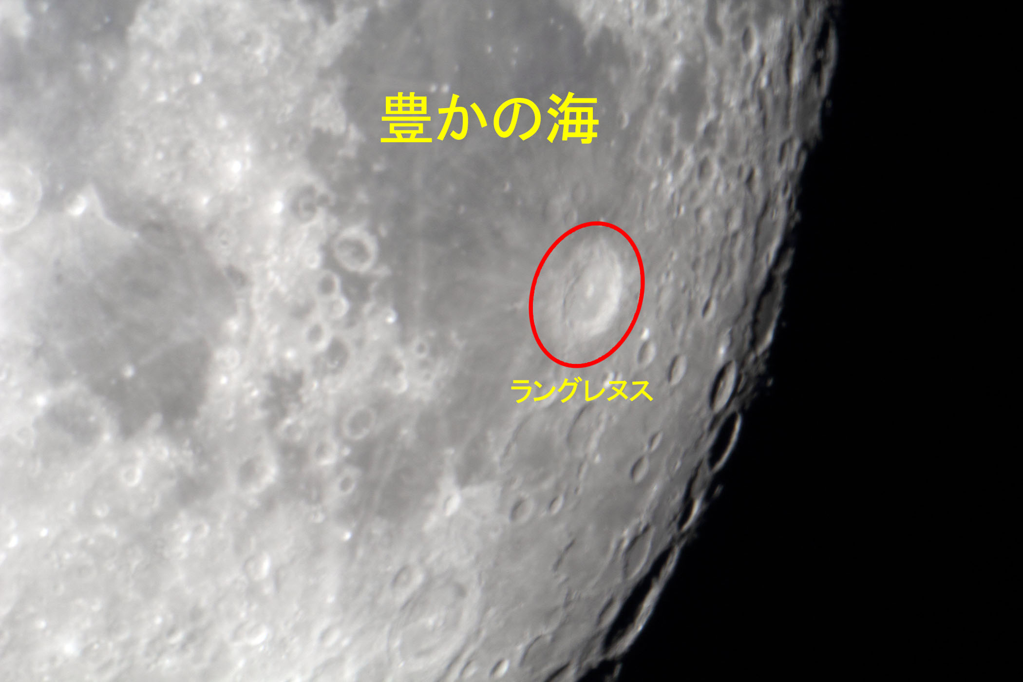 wi15.1jL̊CEOkXt߁x(2023N1128)