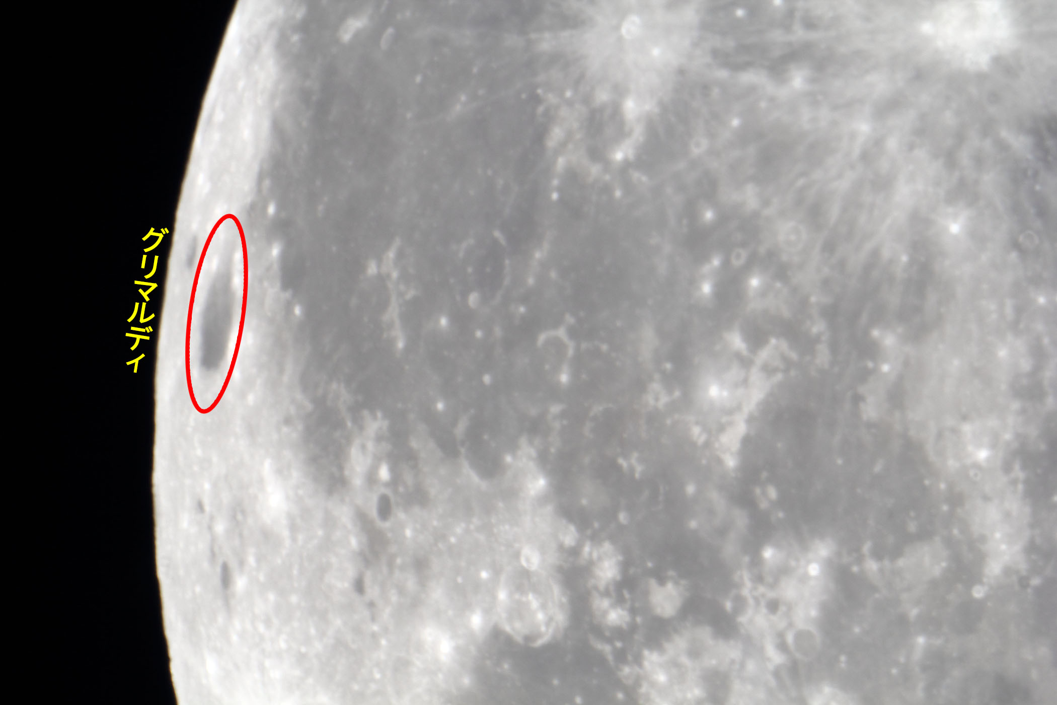 wi15.1jO}fBt߁x(2023N1128)