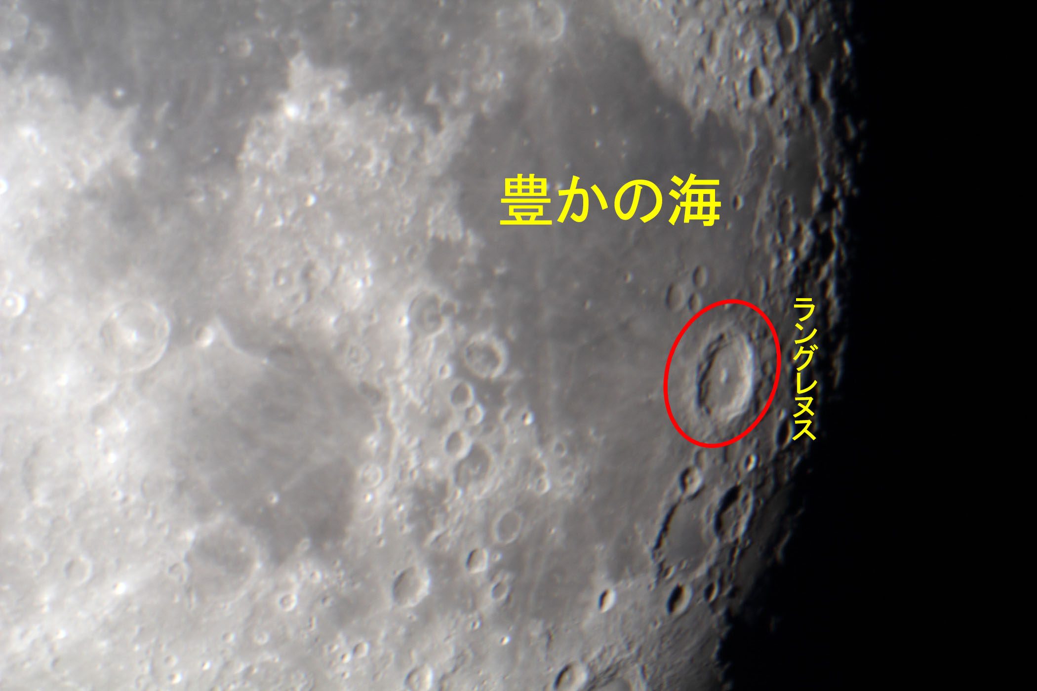 wi16.1jL̊CEOkXt߁x(2023N1129)