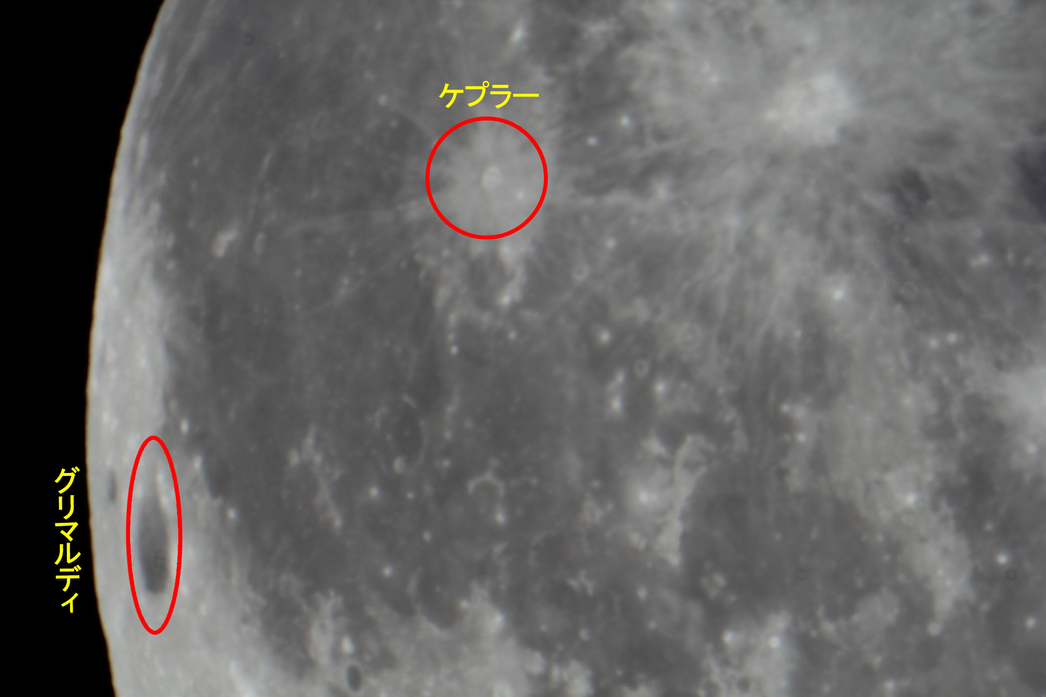 wi15.5jO}fBEPv[t߁x(2023N1228)