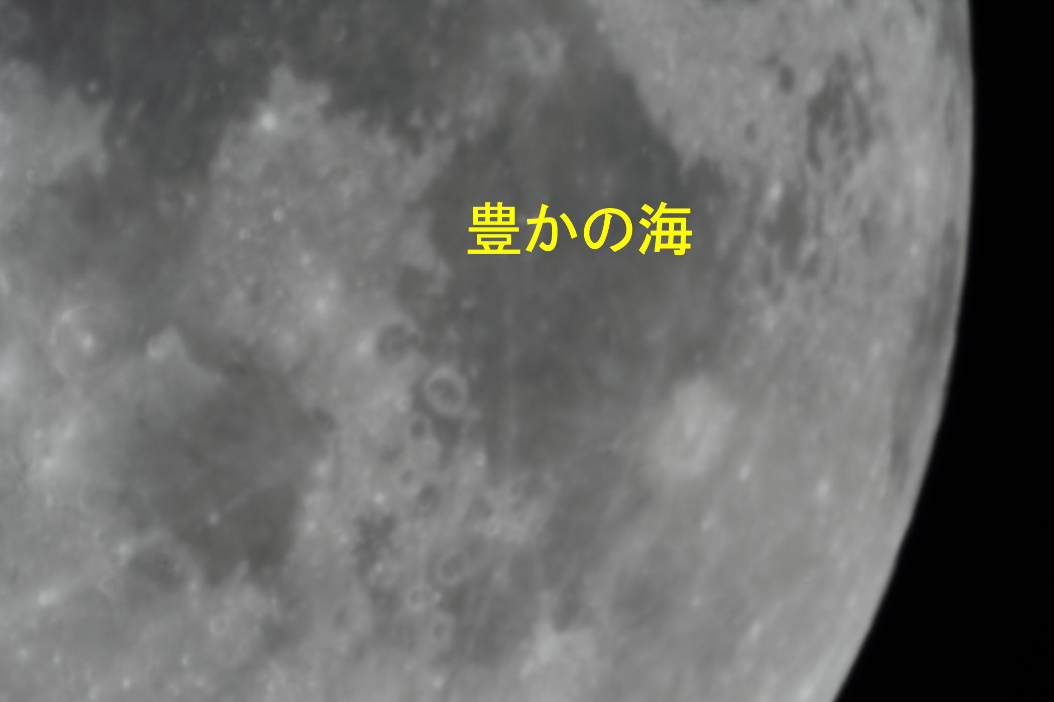wi10.0jL̊Ct߁x(2024N121)