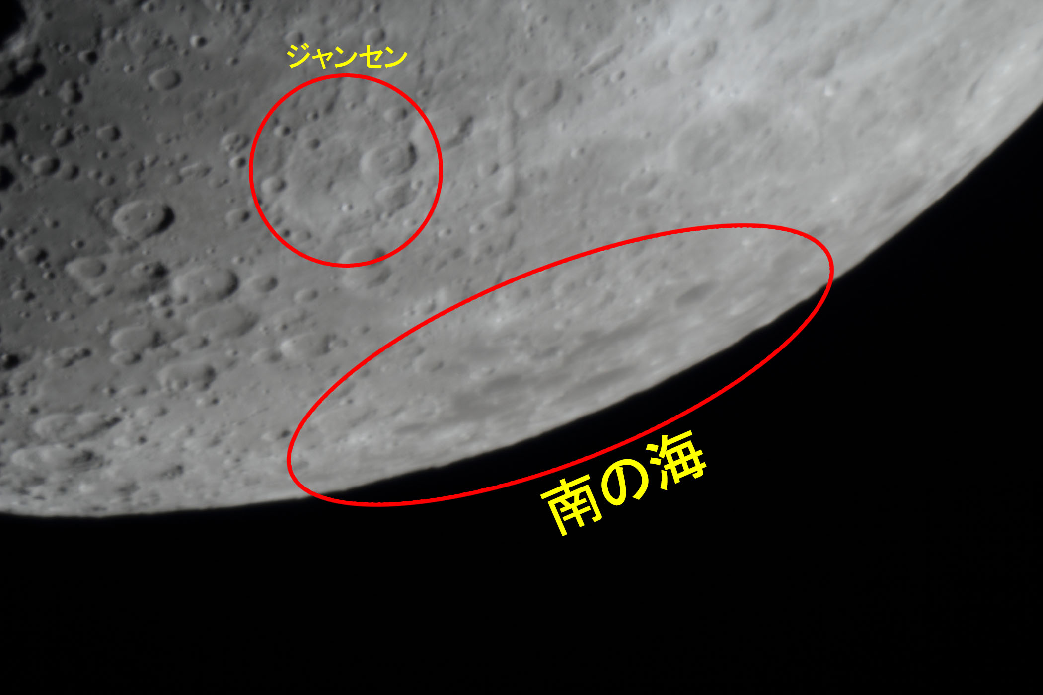 wi6.5jWZE̊Ct߁x(2024N216)