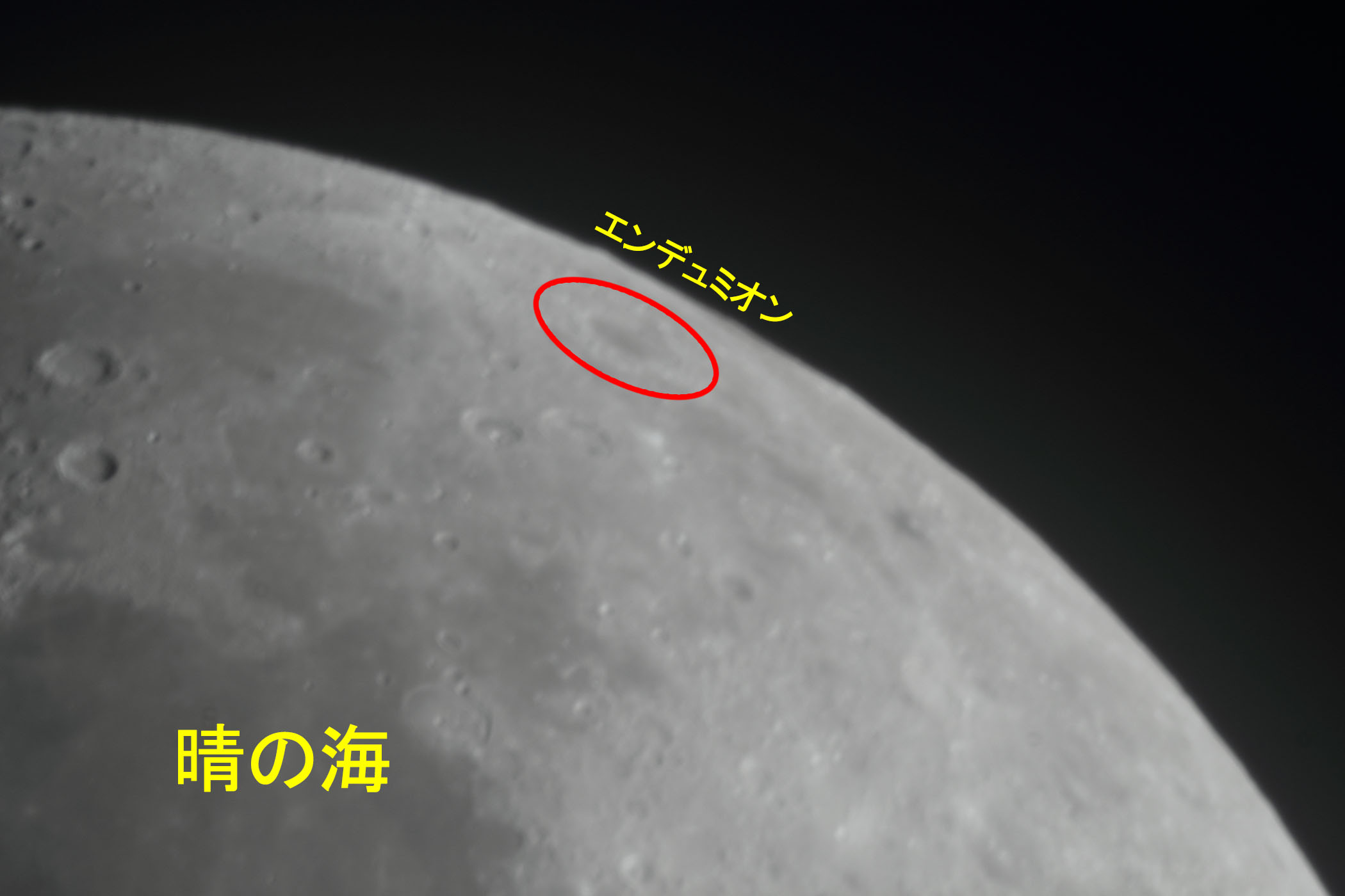 wi8.1jGf~IE̊Ct߁x(2024N318)