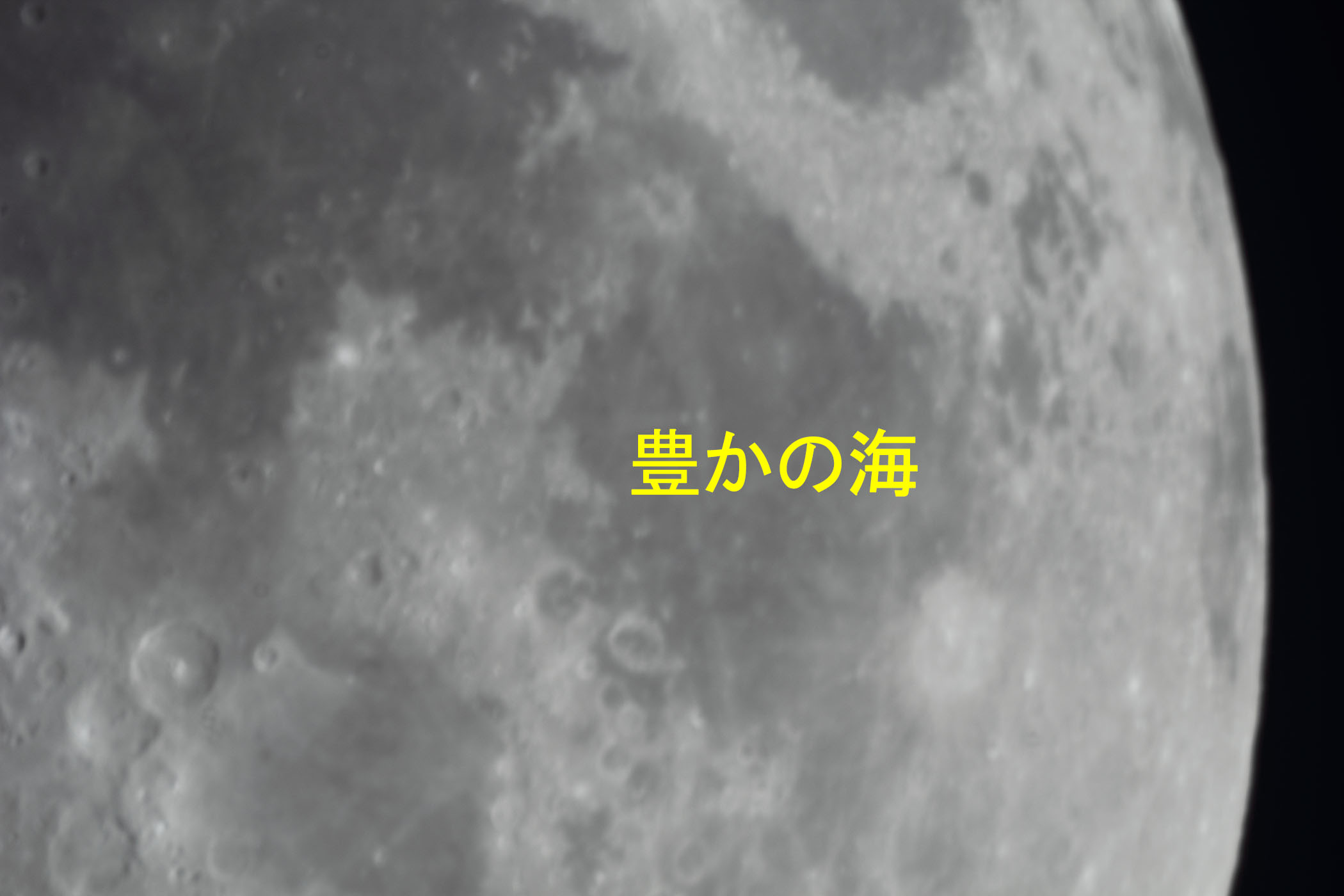 wi8.1jL̊Ct߁x(2024N318)