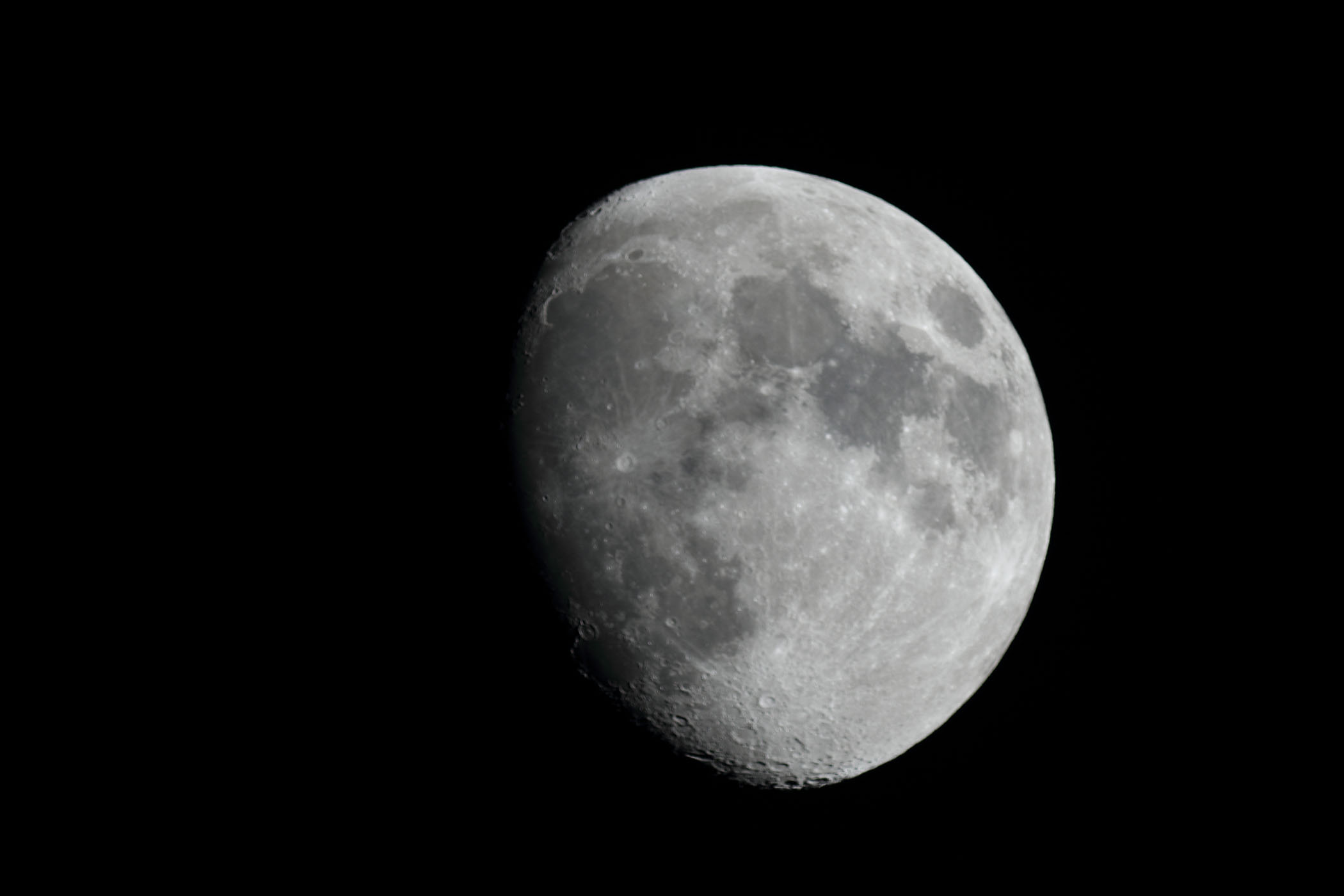 wi11.4jx(2024N519)