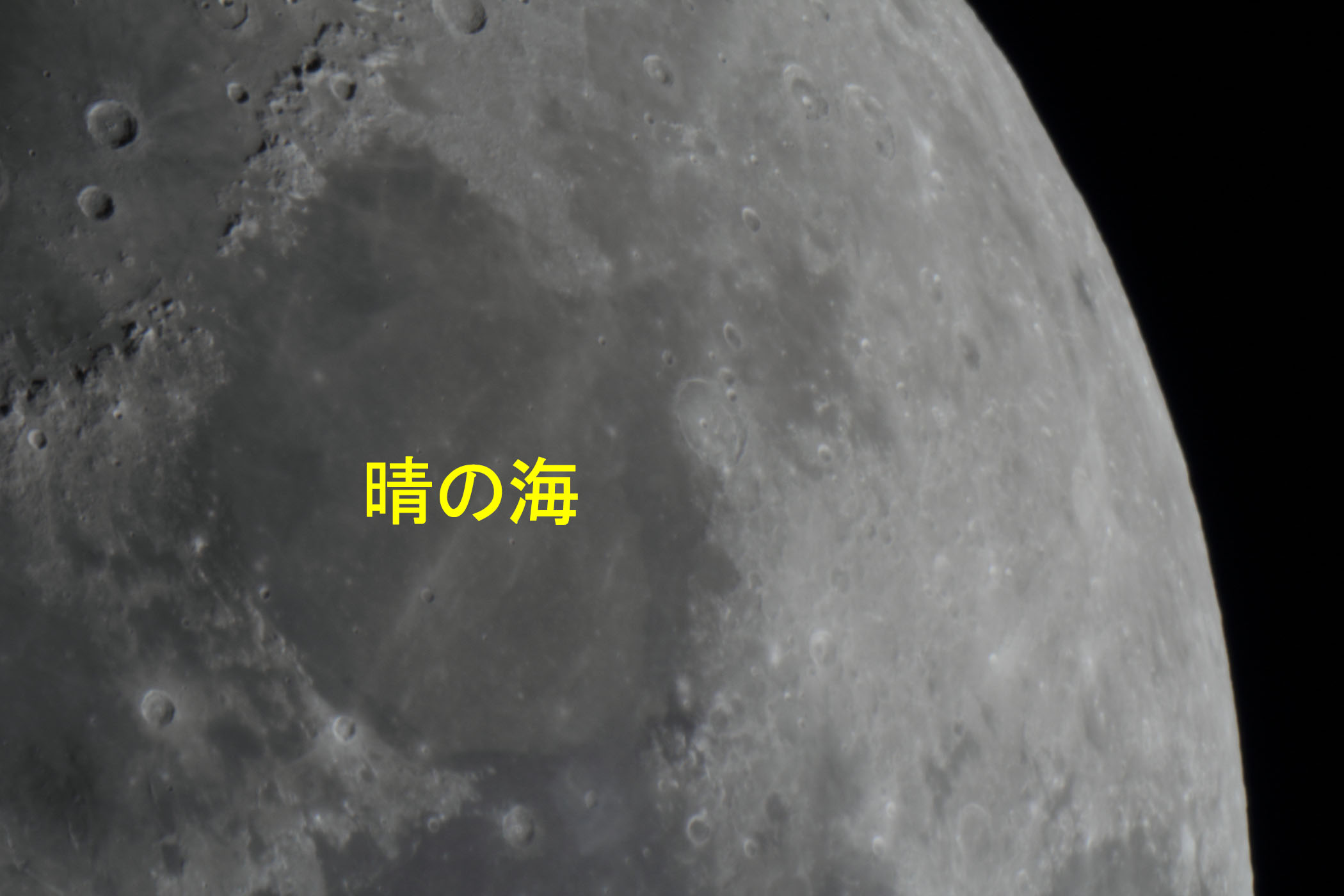 『月(月齢9.2)晴れの海付近』(2025年11月29)