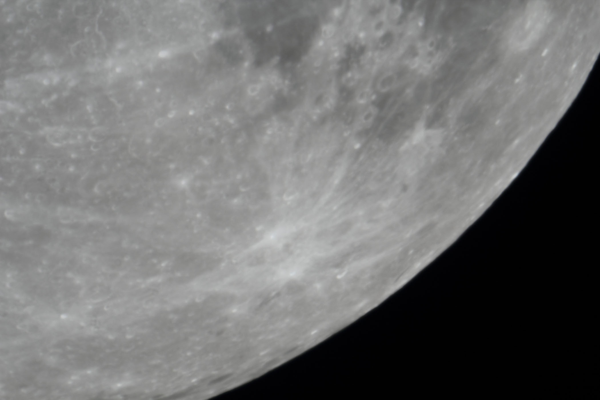 �w���i����12.2�j�L���̊C�t�߁x(2025�N12��2��)