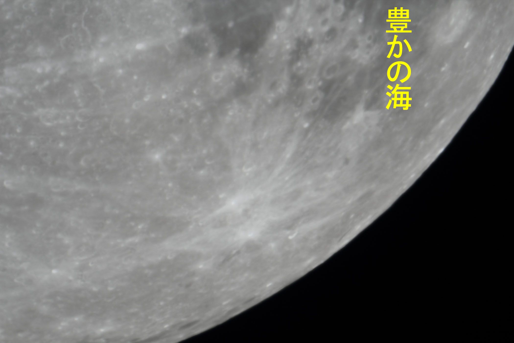 �w���i����12.2�j�L���̊C�t�߁x(2025�N12��2��)