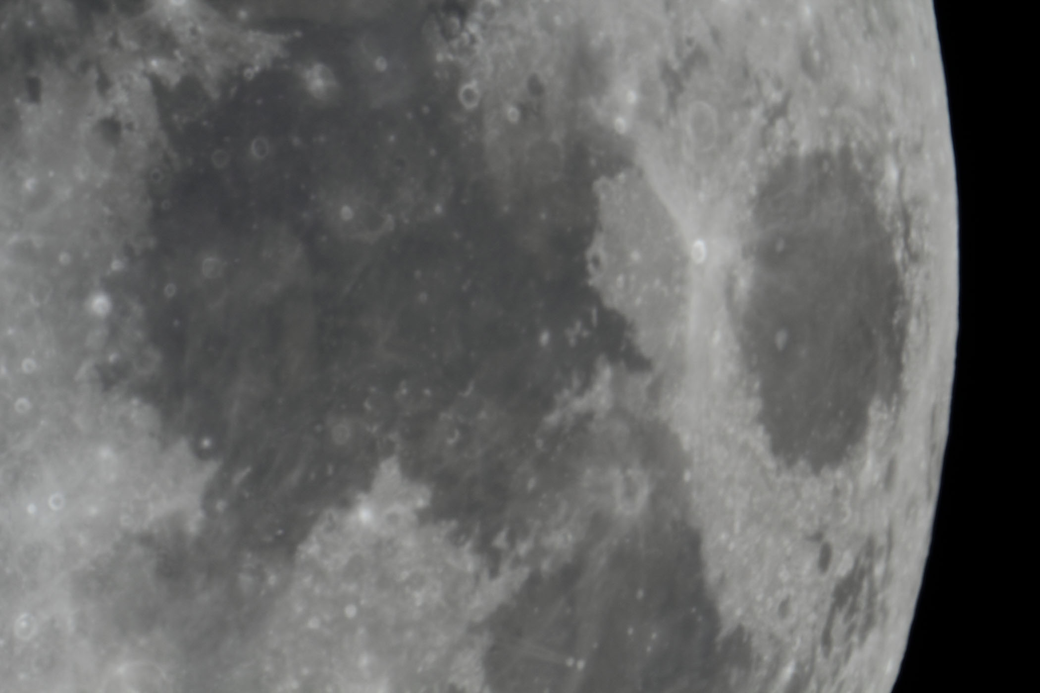 �w���i����12.2�j�Â��̊C�E��@�̊C�t�߁x(2025�N12��2��)