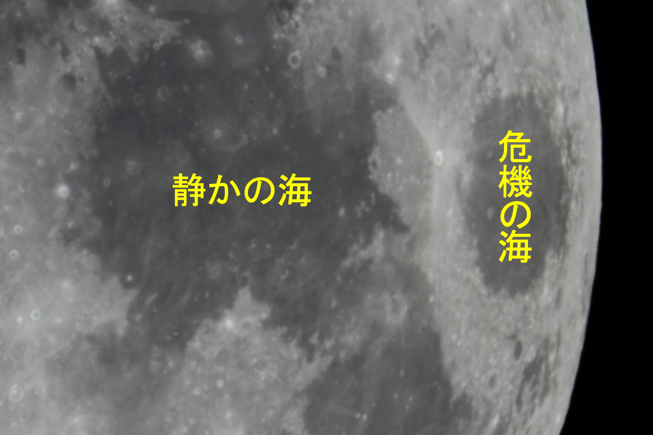 �w���i����12.2�j�Â��̊C�E��@�̊C�t�߁x(2025�N12��2��)